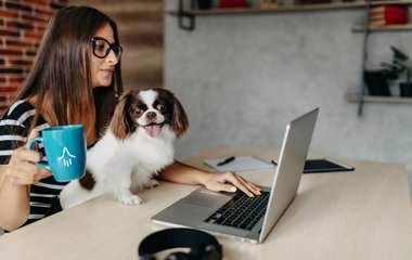 With an office dog, the workplace becomes a place of well-being for all employees.
